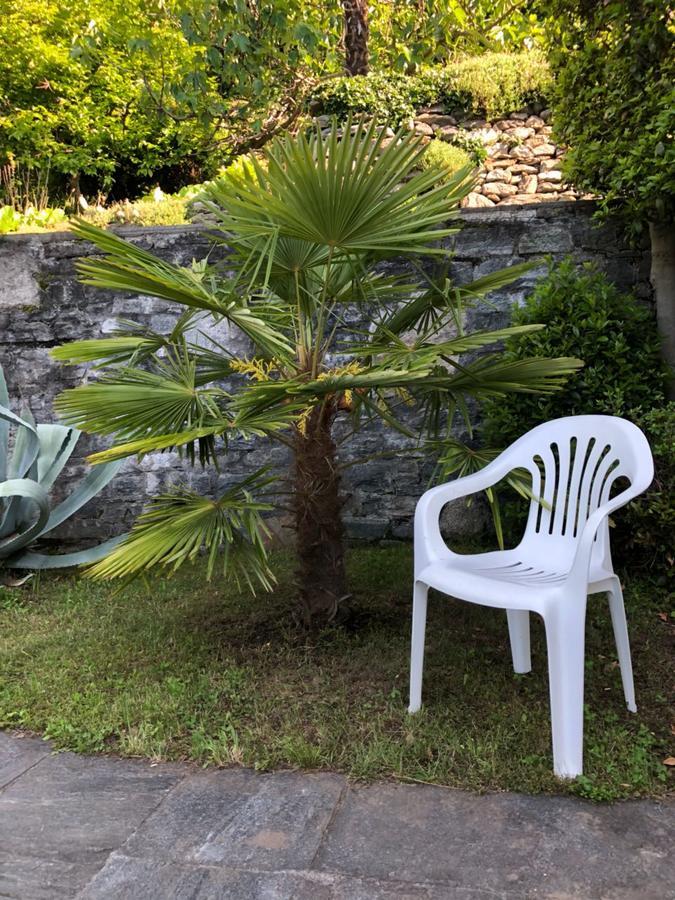 Casa Angela Leilighet Locarno Eksteriør bilde